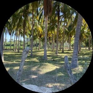 Meet your Posher, Sarha